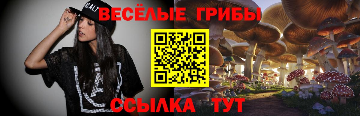 Подольск  Галлюциногенные грибы Magic Shrooms  Псилоцибиновые грибы Psilocybine cubensis  Вход с VPN 
